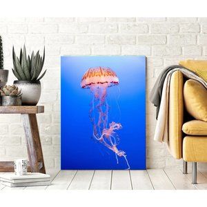 Jellyfish Canvas Art Print Ocean Art 14x18 framed